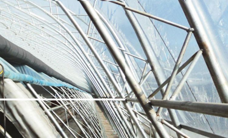 骨架.jpg 骨架.jpg