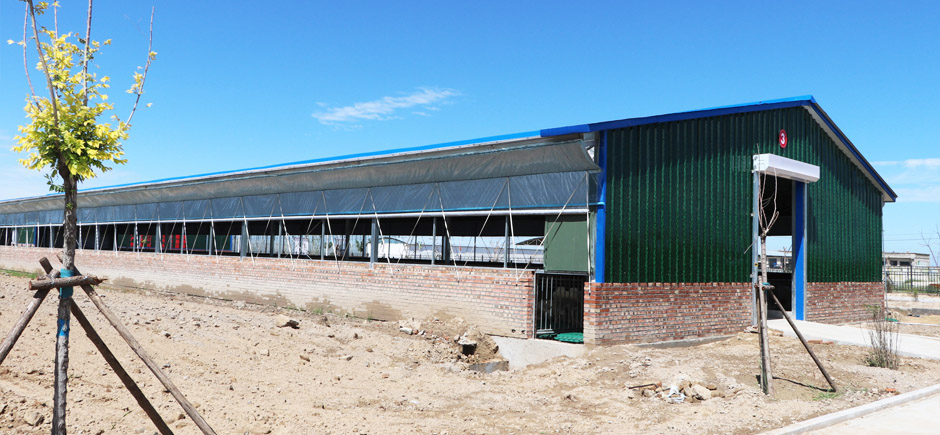 準旗羊場網站3圖940.jpg 準旗羊場網站3圖940.jpg