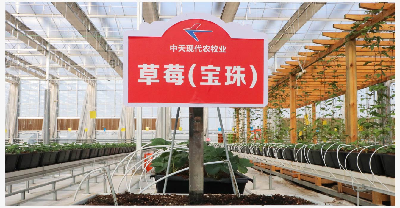 準格爾旗現代智慧設施農業產業園_20.jpg 準格爾旗現代智慧設施農業產業園_20.jpg