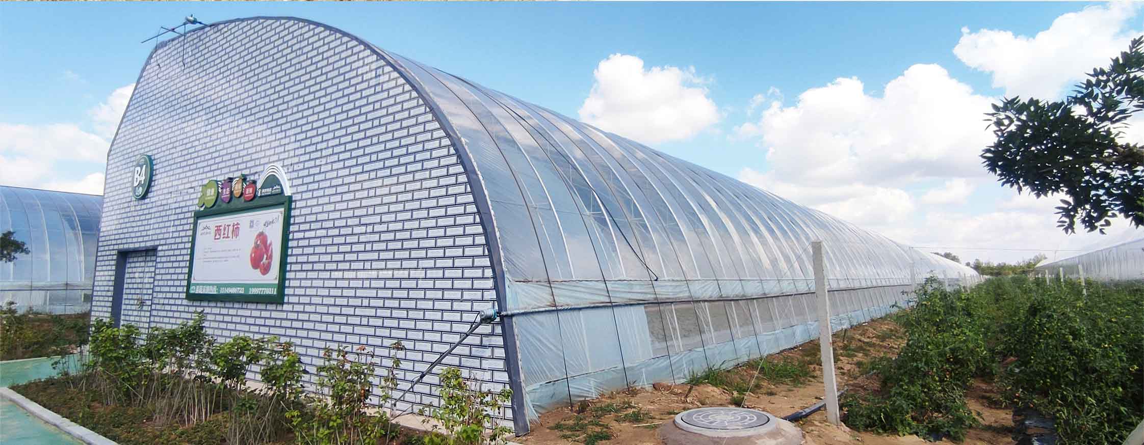 2、直墻溫室網(wǎng)頁_10.jpg 2、直墻溫室網(wǎng)頁_10.jpg